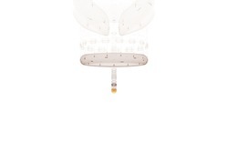 2014 04 24 Grand Julian 22-white.jpg